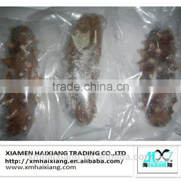 Wholesale Frozen sea cucumber