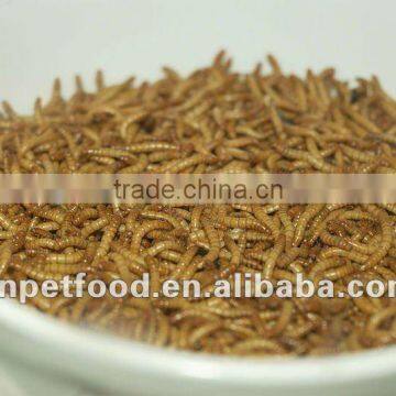 Dried Tenebrio Molitor Reptile Feeding