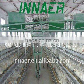 poultry cages feeding system 0086-18231821782