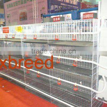 Broiler Chicken breeding cage