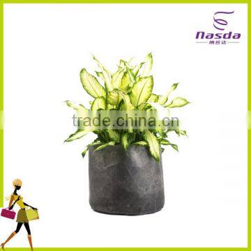 biodegradable nonwoven bag plant nursery bag