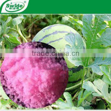 NPK 16-20-0 Compound fertilizer