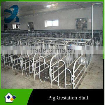 Pig gestation crate for sows