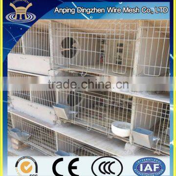 China Commercial Rabbit Farm Cage For Sale