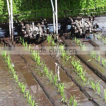 Launched New Upgraded Model High Quality Ride Rice Transplanter/rice Seeder photo-2