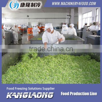 High Quality salted pepper dewatering line