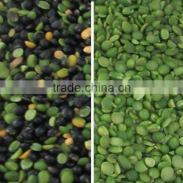 CCD Grain Color Sorter/Beans Rice Sorting Machine With LED Light VV photo-3