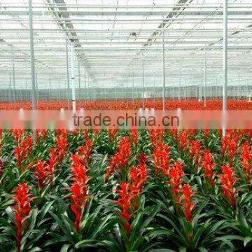 PE Greenhouse plastic film for flowers plantation