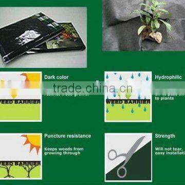 Horticulture Fabric UV Stabilized nonwoven fabric