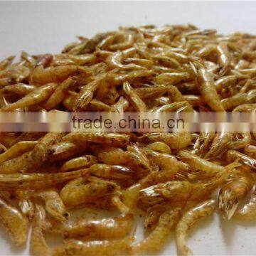 Import China Products Dried Shrimps ;Wholesale Dried Shrimps photo-2