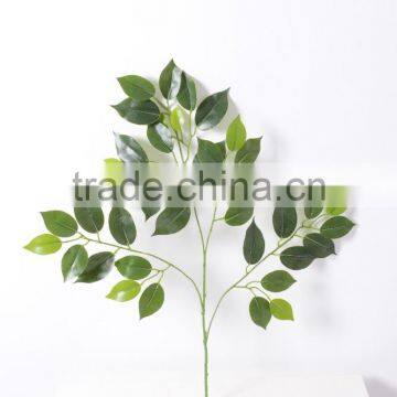 Guangzhou Shengjie Fire Retarant Ficus Leaves/banyan Tree Leaf With Resistence photo-3