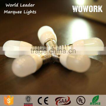 Festival Lighting Letter photo-6