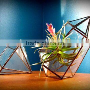 A Stained Geometric Crystal Terrarium