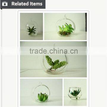 Artificial Succulent Home Decorative Tropical Plants Small Manufacturing Plant photo-2