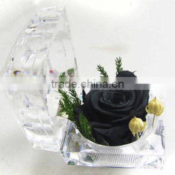 Fashionable And Natural Real Rose Preserved Flowers Wholesale With Acrylic Ring Box Decoration photo-4