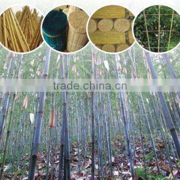 natural painting bamboo poles/cheap bamboo canes