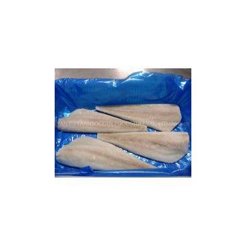 Frozen Alaska Pollock Fillets