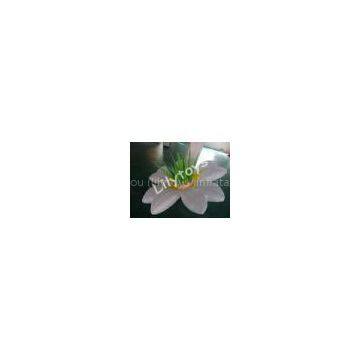 EN71 Commercial Advertising Inflatable Flowers Nylon With Light Tubes