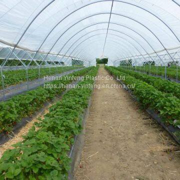 Plastic Greenhouse Cover photo-2