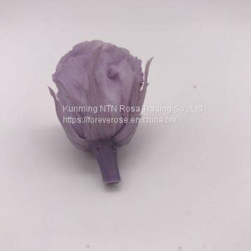 High Quality Timeless Preserved Flower Rose to Make Gorgeous Flower Gifts photo-4