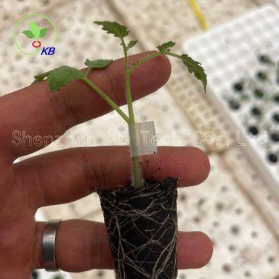 Silicone Grafting Tube Clips Use for Tomato Grafting 1.2-3mm Horticultural Silicone Grafting Clip photo-4