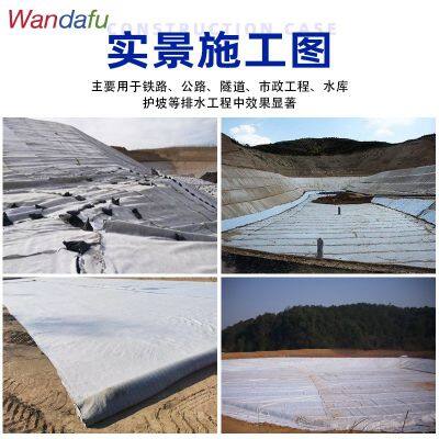 Wandafu 3D Composite Drainage HDPE 3D Drainage Geomat Geosynthetic Drainage Net photo-4