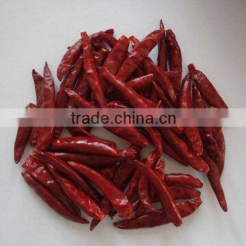 RED hot chaotian chili