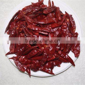 CHINESE CHILLI