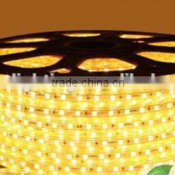 Waterproof Quality Assurance popular color changing RGB LED strip SMD5050 high voltage 220V