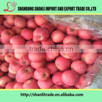 chinese fuji apple exporter in china