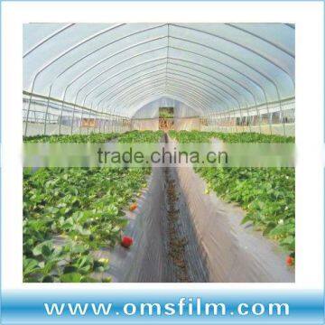 Polyethylene plastic greenhouse film for Agriculture