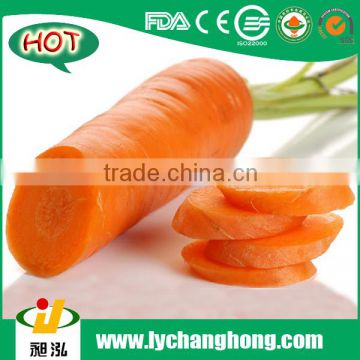 2016 Laiwu Carrot Lowest Price