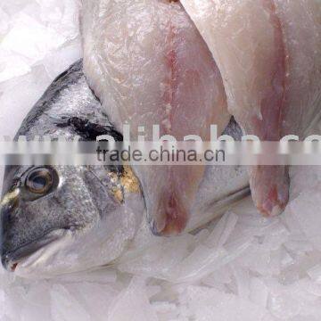 SEA BREAM FILLET