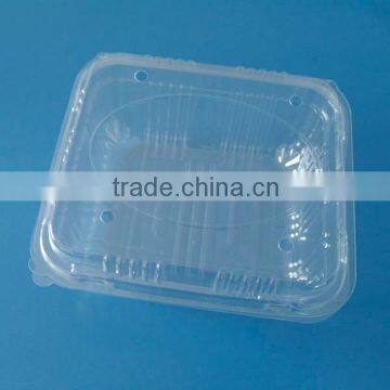 food fruit container box plate