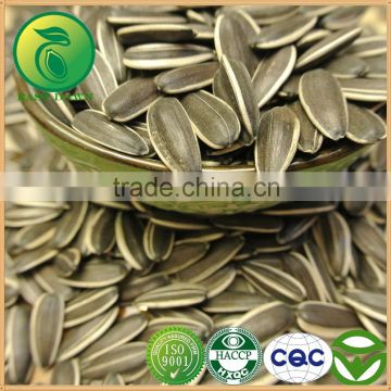 Sunflower Seeds Chinese Vegetable Seeds