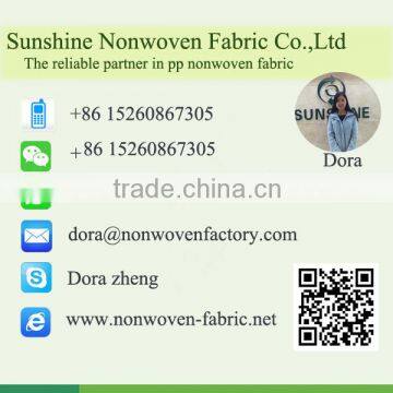 Customized Logo PP Non Woven/ Non-woven Fabric Bag, Nonwoven Fabric Raw Material for Bag Making