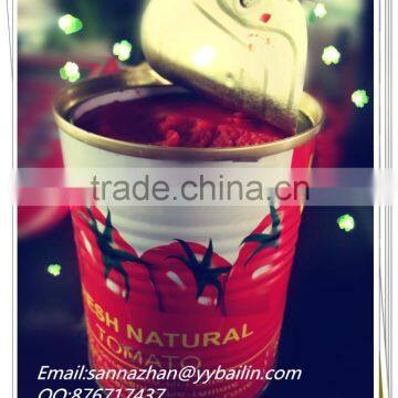 800g natural health tomato paste,no additives,normal can