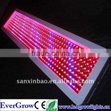 Hot Sell 5. Blue LEDs can easily be added to enhance vegetative growth , red LEDs a400W High Power Led Plant Growth Light EG400