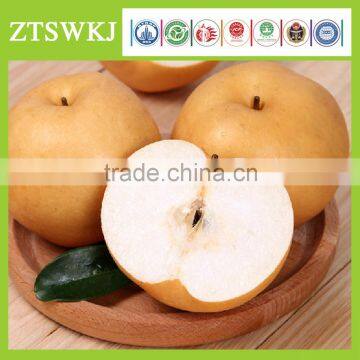 ZHOUTIAN High Production Big Yellow Pears