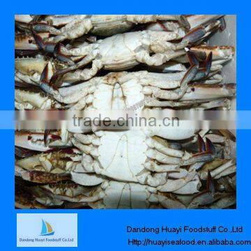 IQF frozen crab