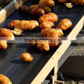 Straight-Warp Belting photo-2