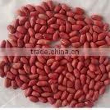 red skin peanuts kernel