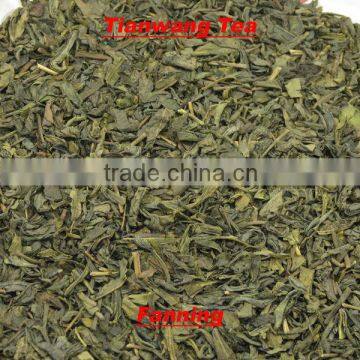 Best quality of autumn loose leaf tea Hyson green tea