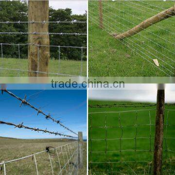 2015 hot sale Barbed wire length per roll / barbed wire fence / barbed wire price alibaba                        
                                                Quality Choice