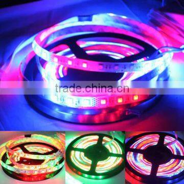 horse race roll led strip