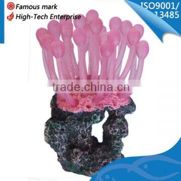 cheap plants online