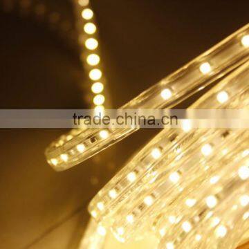 2years warranty yellow PCB SMD 5050 LED strip