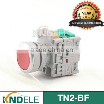 Flat Momentary Electric Push Button Switch AC 600V TN2-BF