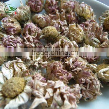 Organic Dried Purple Chrysanthemum Herbal Tea photo-5