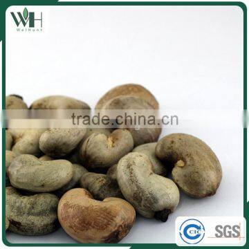 2016 Newest Cambodia Shell Attached Cashew Nut